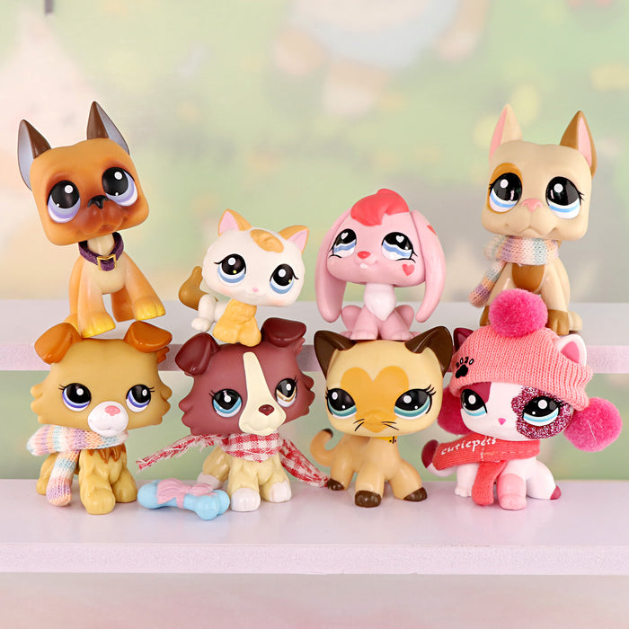 8 Pcs cat and dog Pack