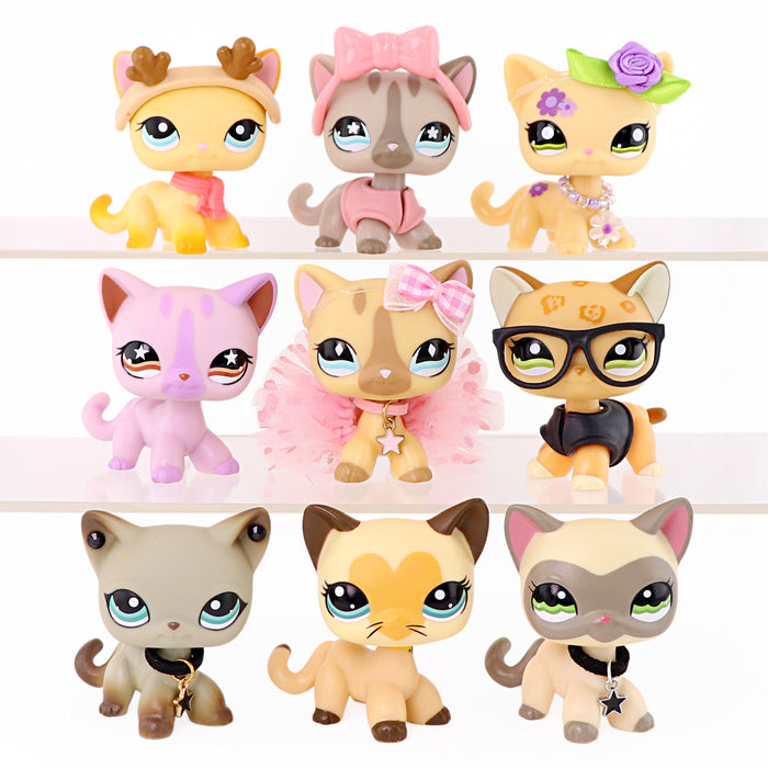 9 Pcs LPs Shorthair Cat