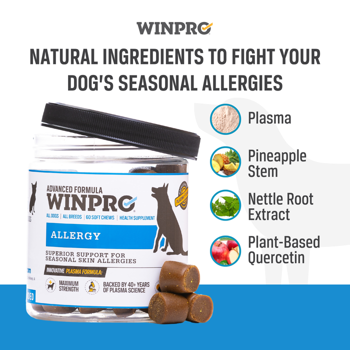 Advanced Allergy Bundle