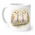 Barn Owl 3 Ceramic 11oz Mug