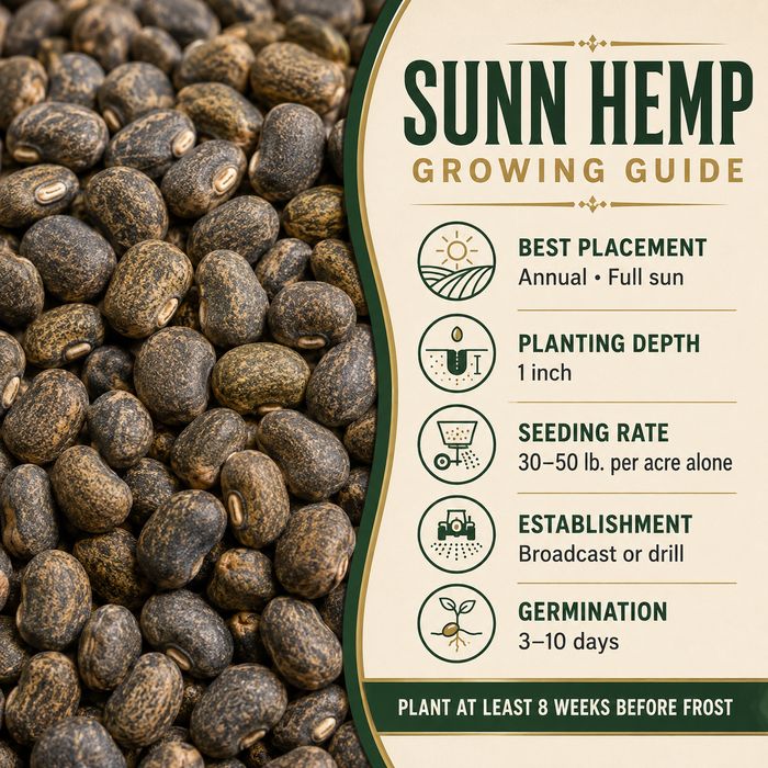 Sunn Hemp growing guide and seed