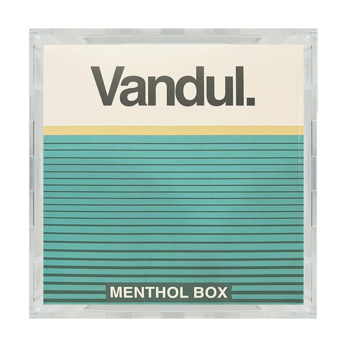 Custom Acrylic Hard Case for VANDUL WALK Vinyl Toys Boxes (4.5mm thick) Fits 9h x 9w x 6d