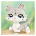 custom lps speckle collie