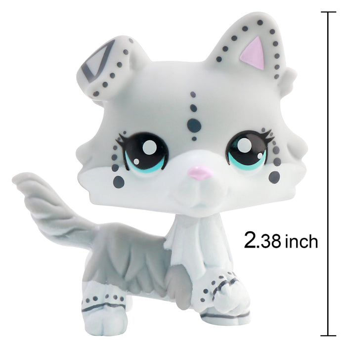 custom lps speckle collie