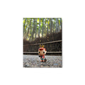 Freddy Funko visits Arashiyama Bamboo Forest Japan - 11 x 14 Metal Print by Nomading Nerds
