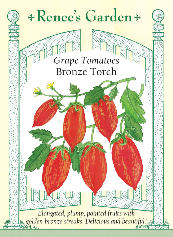Grape Tomatoes - Bronze Torch