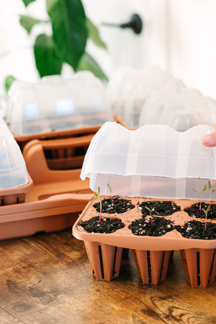 GreenStalk Seed Starter Kit with Domes
