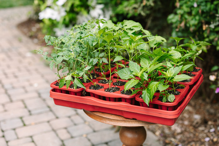 GreenStalk Seed Starter Kit with Domes