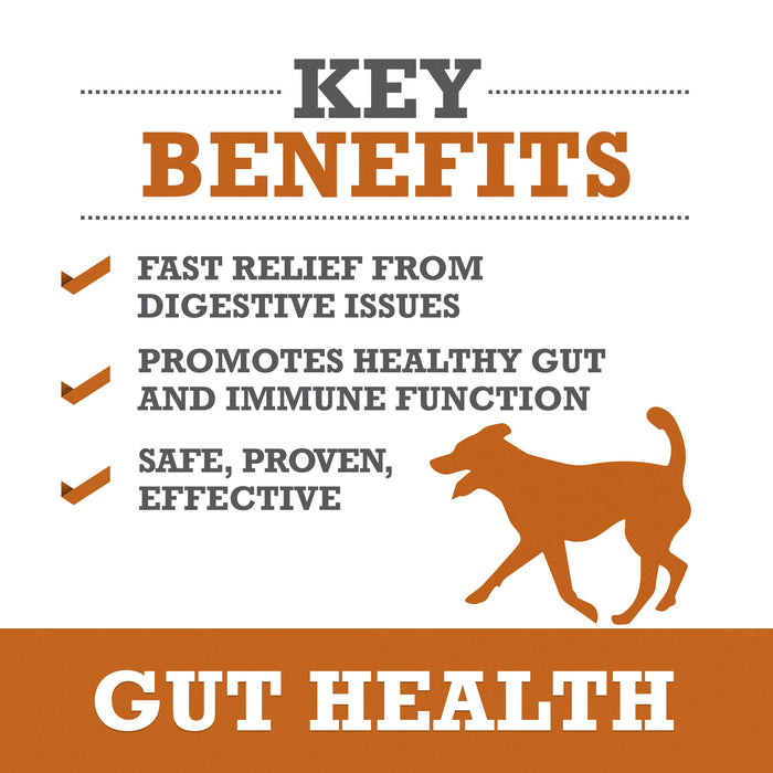 Gut Health 6-Pack