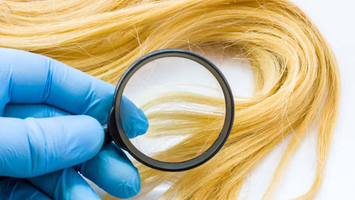 Hand holding a magnifying glass over blonde hair fibers for Certified Lab Analysis.