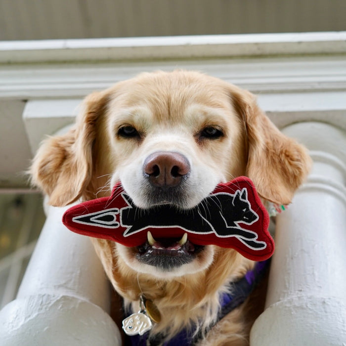 Hairmissile Dog Toy