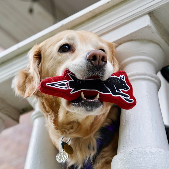 Hairmissile Dog Toy