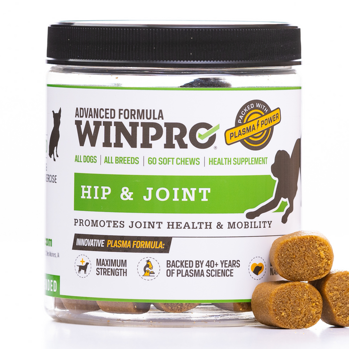 Hip & Joint