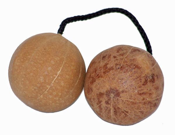 Kla Kla Rhythm Shaker - Jamtown World Instruments - TheHomeToGo