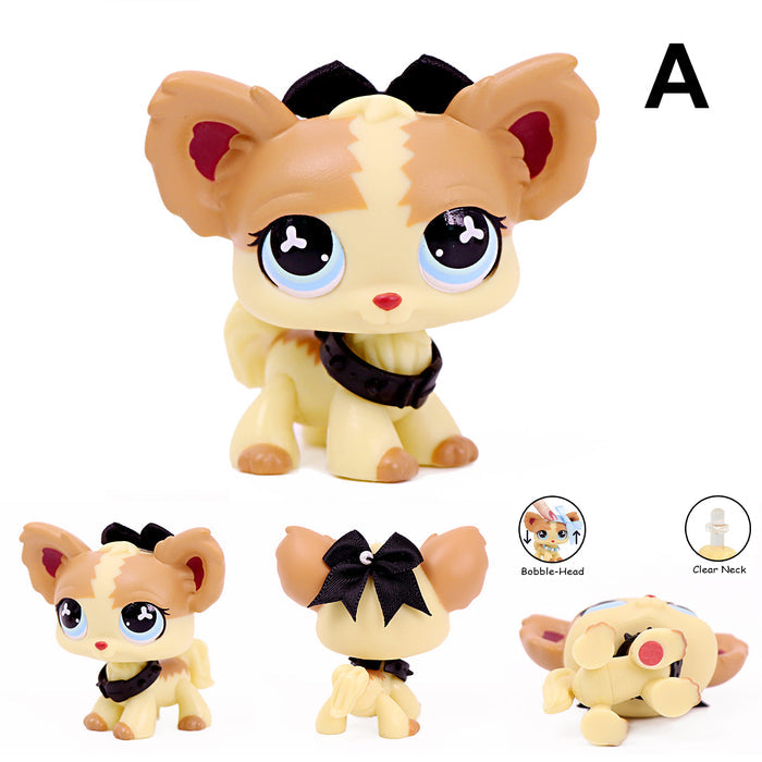 lps chihuahua 765