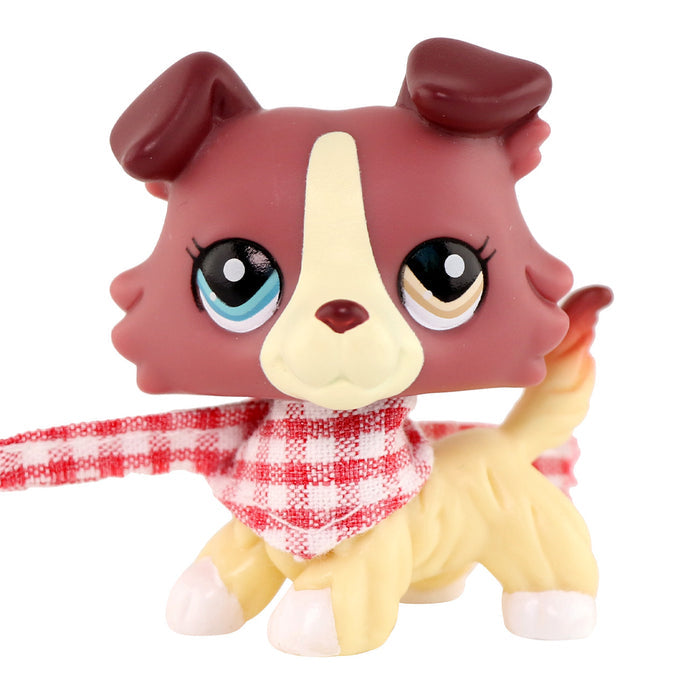 lps collie 1262