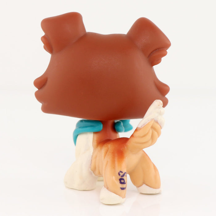 lps collie 1542