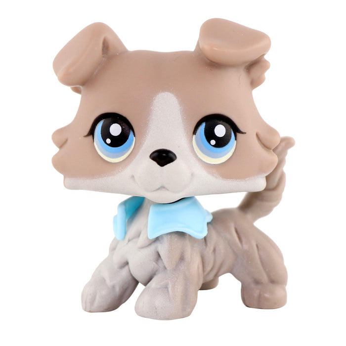 lps Collie 67