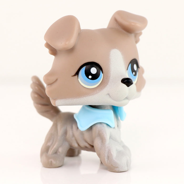 lps Collie 67