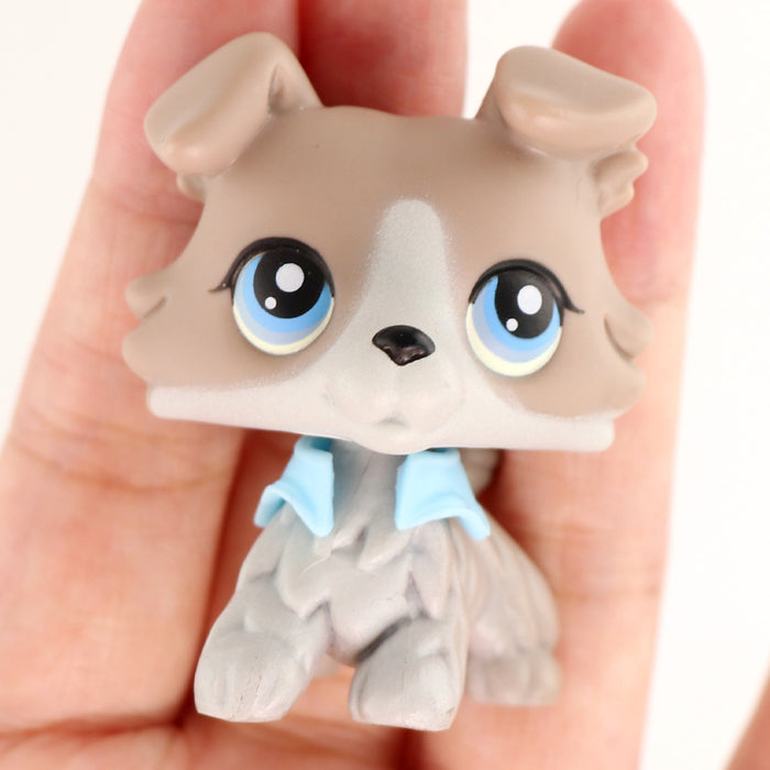 lps Collie 67