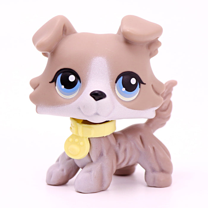 lps Collie 67