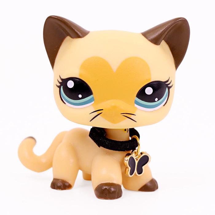 LPs Shorthair Cat #3573