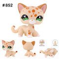 lps shorthair cat 852