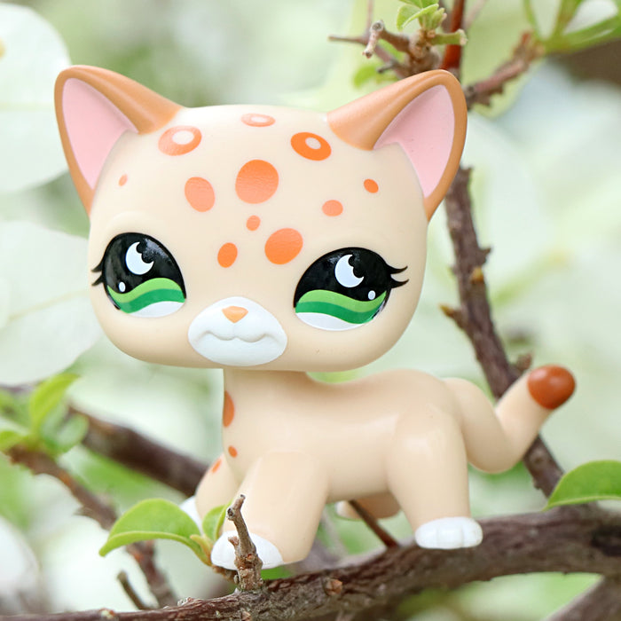 lps shorthair cat 852