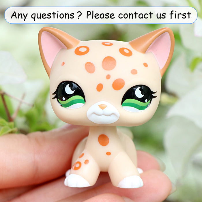 lps shorthair cat 852