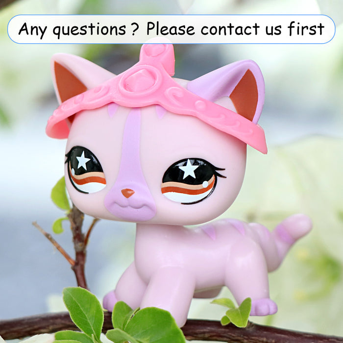 lps shorthair cat 933