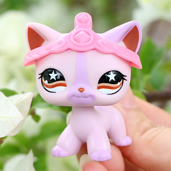 lps shorthair cat 933