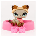 mini pet shorthair #041
