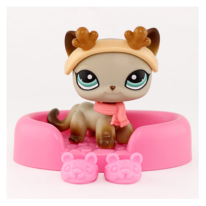 mini pet shorthair #041