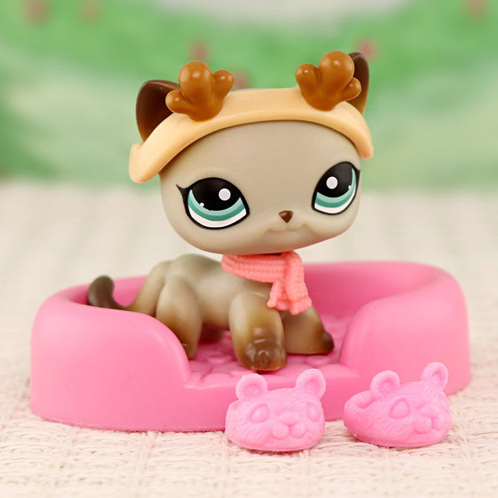 mini pet shorthair #041