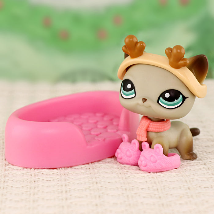 mini pet shorthair #041