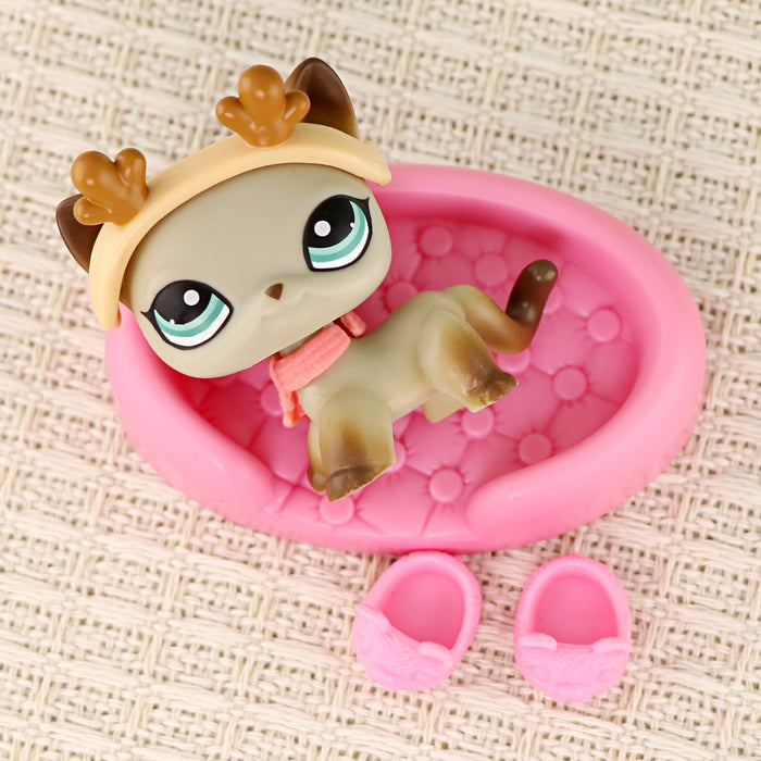 mini pet shorthair #041
