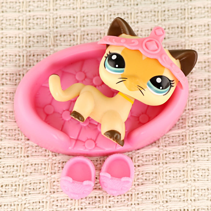 mini pet shorthair cat #026