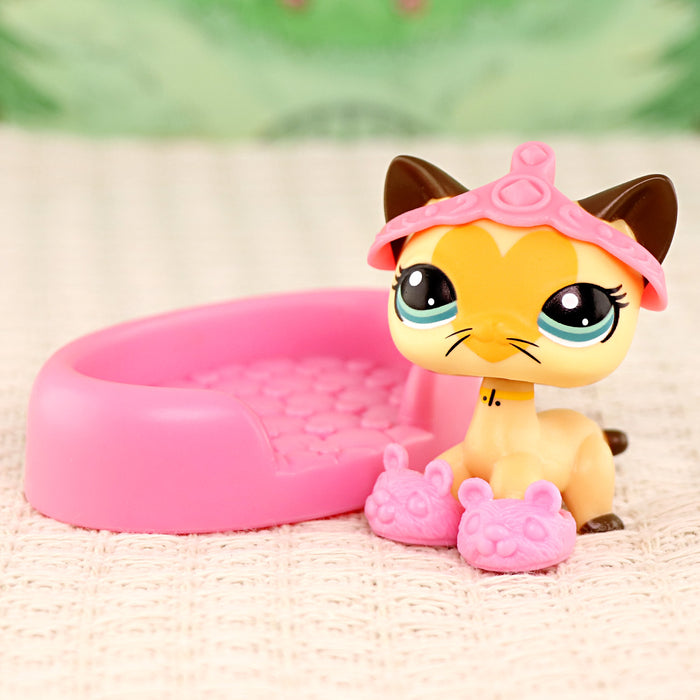 mini pet shorthair cat #026
