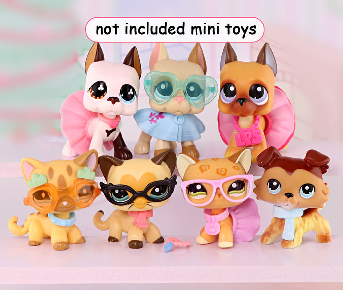 Multi-Option Accessory Set A