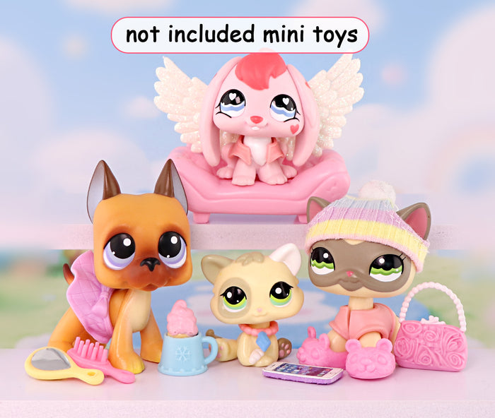 Multi-Option Accessory Set B