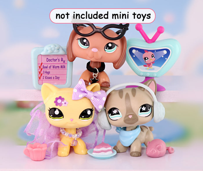 Multi-Option Accessory Set B