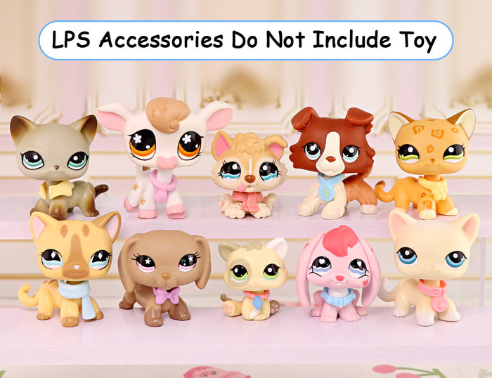 Multi-Option Random LPs Accessories Set B