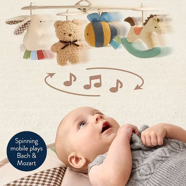 Itzy Ritzy Toys 0+ Music & Motion Activity Gym