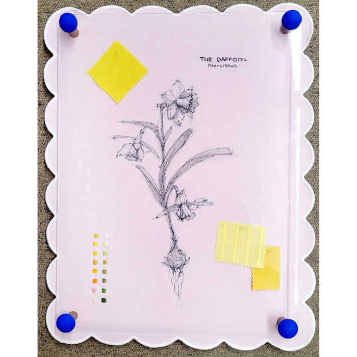 My creative wandering told by the daffodil #1, Stephanie Kelly Clark