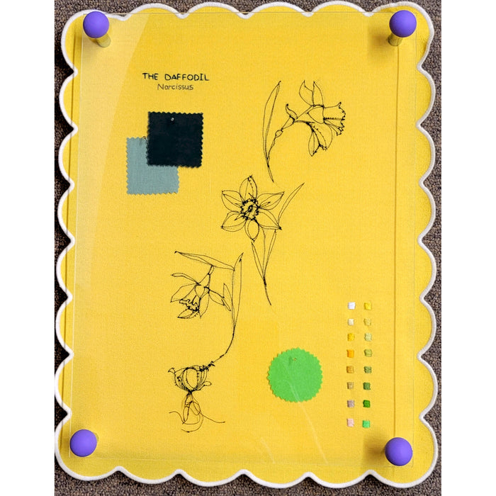 My creative wandering told by the daffodil #2, Stephanie Kelly Clark