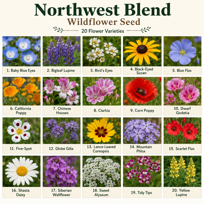 Northwest Flower Variety Chart