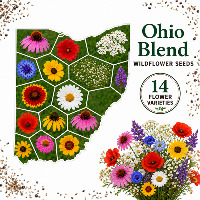 Ohio Blend, Wildflower Seed