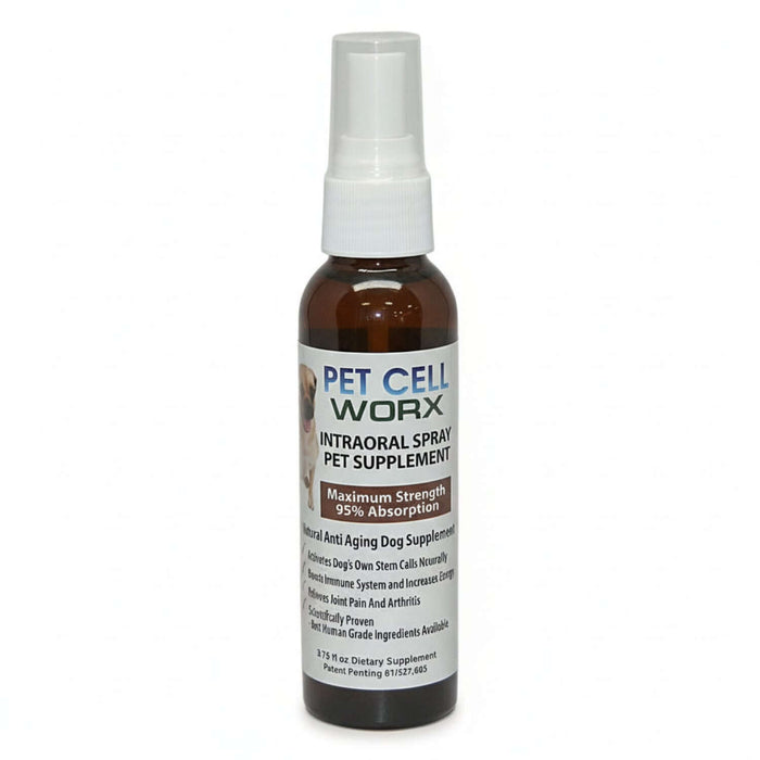 Pet Longevity Support liquid supplement for pets, promoting cellular vitality and joint health with high-grade ingredients.