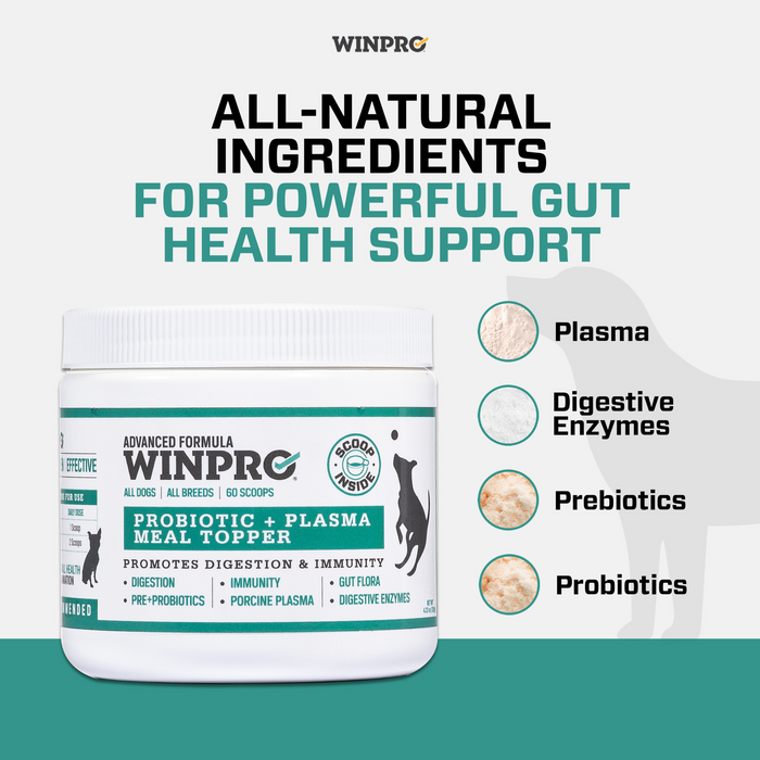Pre + Probiotic Plasma Meal Topper 6-Pack