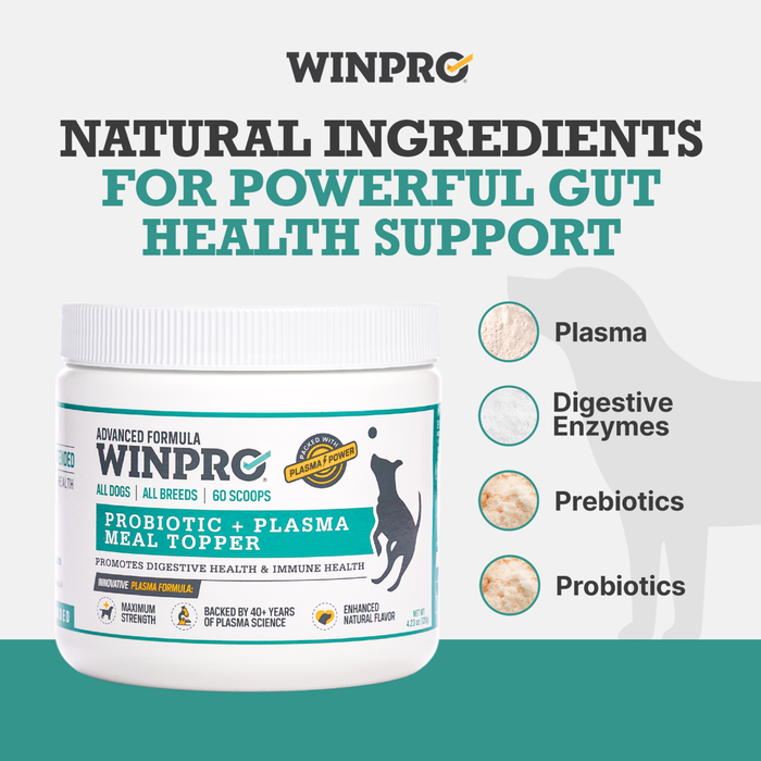 Probiotic + Plasma Meal Topper